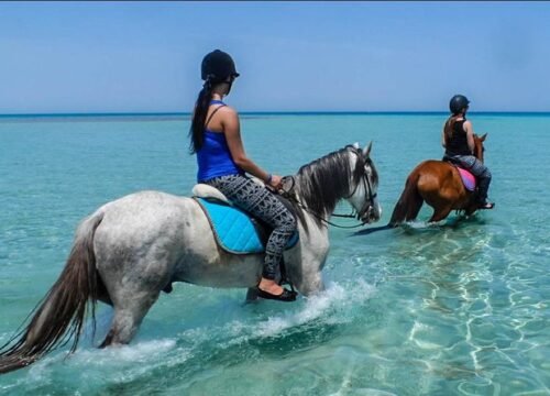 Pferde Reiten Hurghada | Privater Reitausflug am Strand und in der Wüste